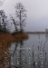 11november-ho.jpg